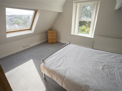 Picture 13